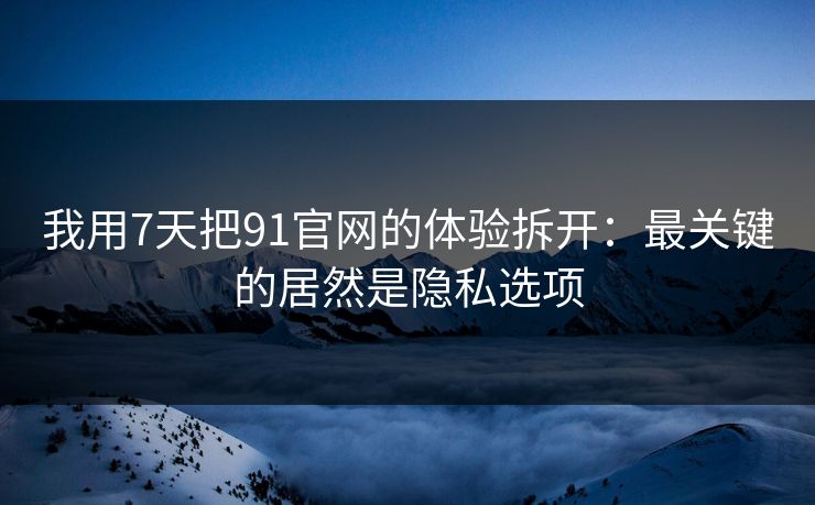 我用7天把91官网的体验拆开：最关键的居然是隐私选项