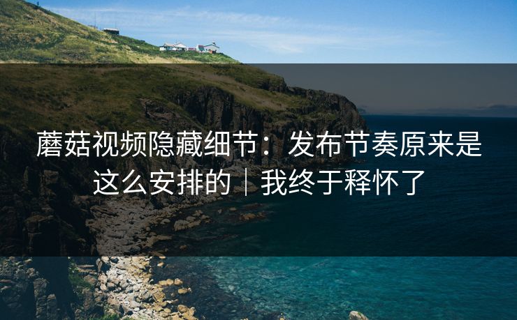 蘑菇视频隐藏细节：发布节奏原来是这么安排的｜我终于释怀了