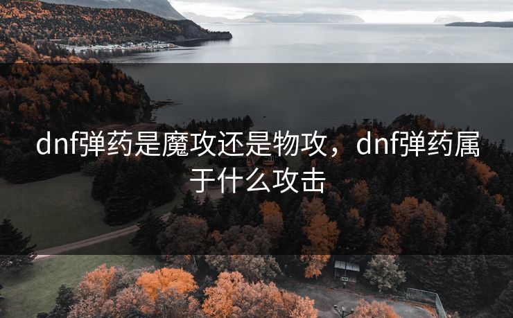 dnf弹药是魔攻还是物攻，dnf弹药属于什么攻击