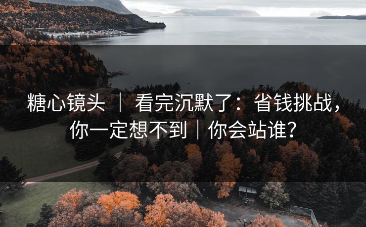 糖心镜头 ｜ 看完沉默了：省钱挑战，你一定想不到｜你会站谁？