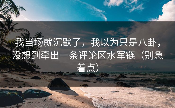 我当场就沉默了,我以为只是八卦,没想到牵出一条评论区水军链(别急着点) 我当场就沉默了,我以为只是八卦,没想到牵出一条评论区水军链(别急着点)