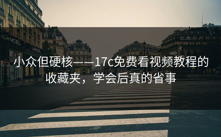 小众但硬核——17c免费看视频教程的收藏夹,学会后真的省事 小众但硬核——17c免费看视频教程的收藏夹,学会后真的省事